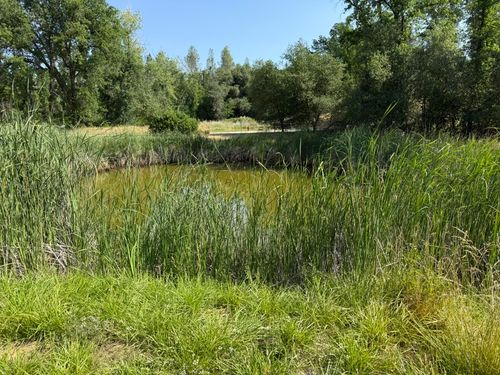 7780 Raven Rd, Redding, CA, 96001-4313 | Card Image