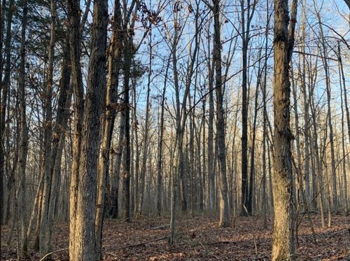 1 Summertown Hwy, Summertown, TN, 38483 | Card Image