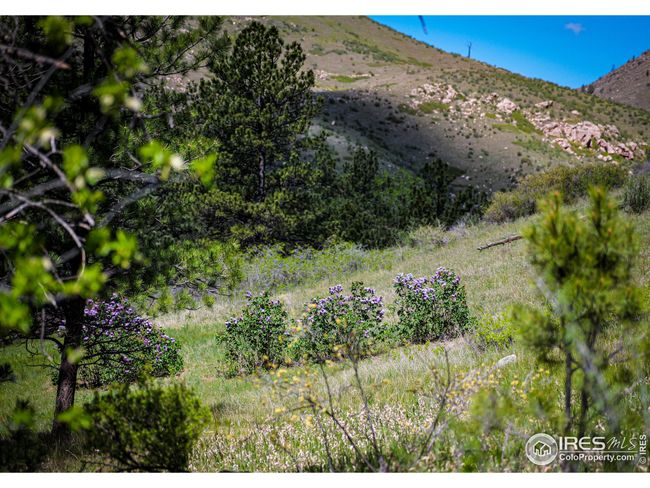 0 Wild River Rd, Home with 0 bedrooms, 0 bathrooms and null parking in Bellvue CO | Image 8
