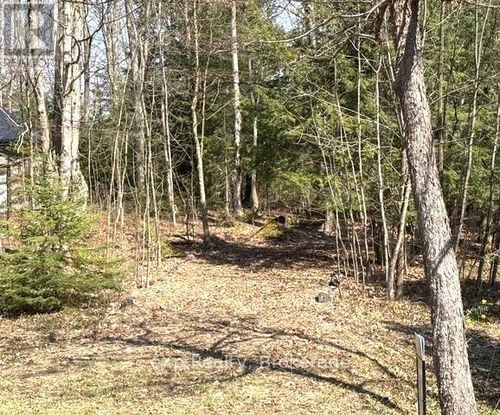 PT LT 21 Grey Road 12, Durham, ON, N0G1R0 | Card Image