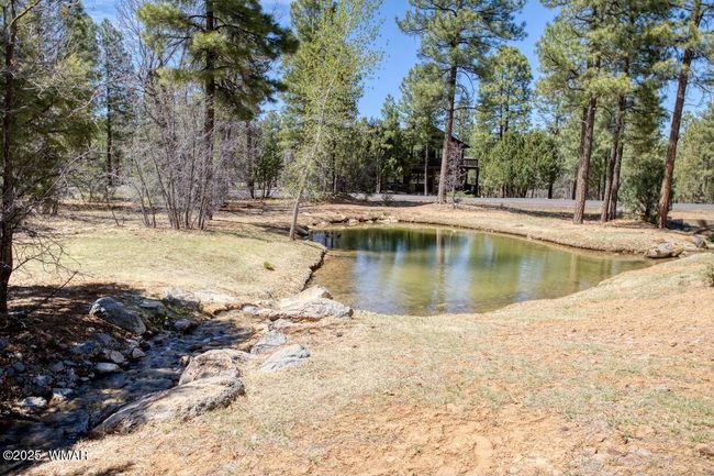 Stream and pond 2 | Image 23