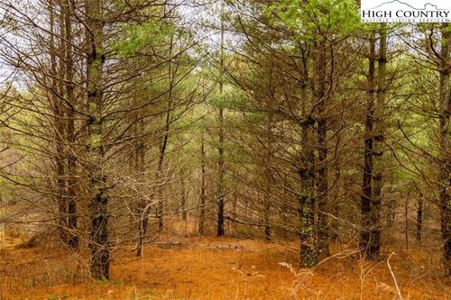 5 Alta Vista Lane, Sparta, NC, 28675 | Card Image