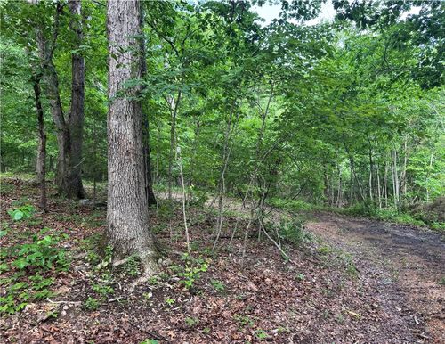 TBD Lots 2, 3, 4 Diana Lane, Bella Vista, AR, 72715 | Card Image