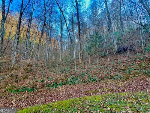 22 Walker Ridge Way, Mineral Bluff, GA, 30559-2674 | Card Image