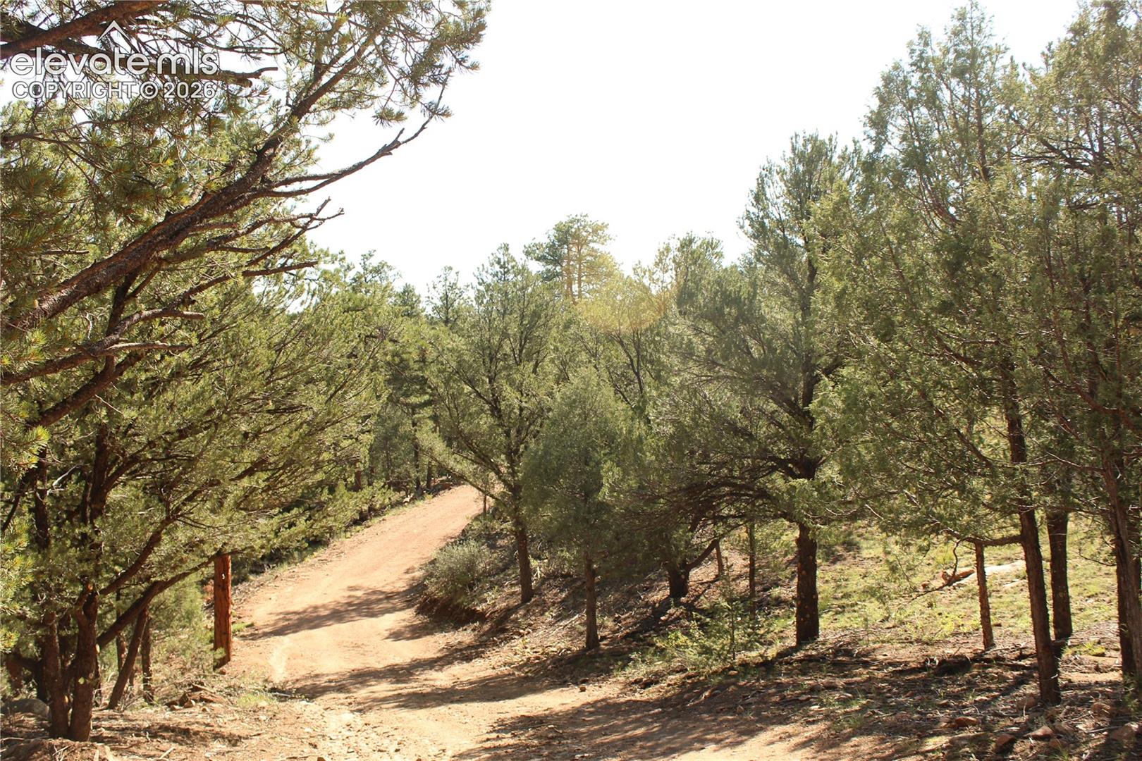Land in Westcliffe 5