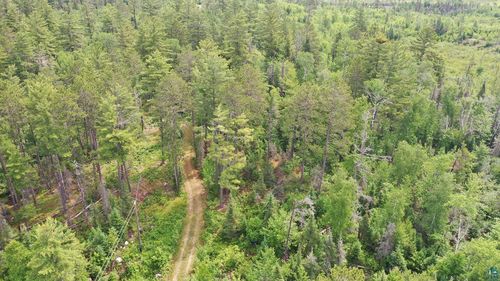 1648 Golden Ridge Trl, Ely, MN, 55731 | Card Image