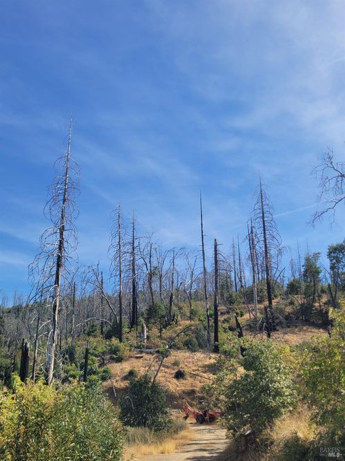 6998 Pine Rd, Lucerne, CA, 95458 | Card Image