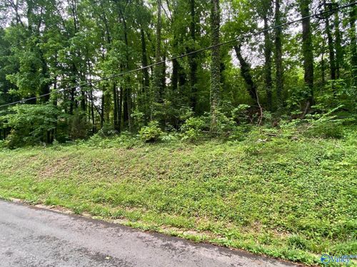 Lot 6 Cherokee Blf, Guntersville, AL, 35976 | Card Image