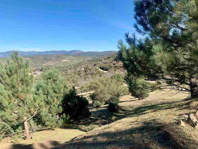 5566 Acorn Patch Rd, Home with 0 bedrooms, 0 bathrooms and null parking in Julian CA | Image 24