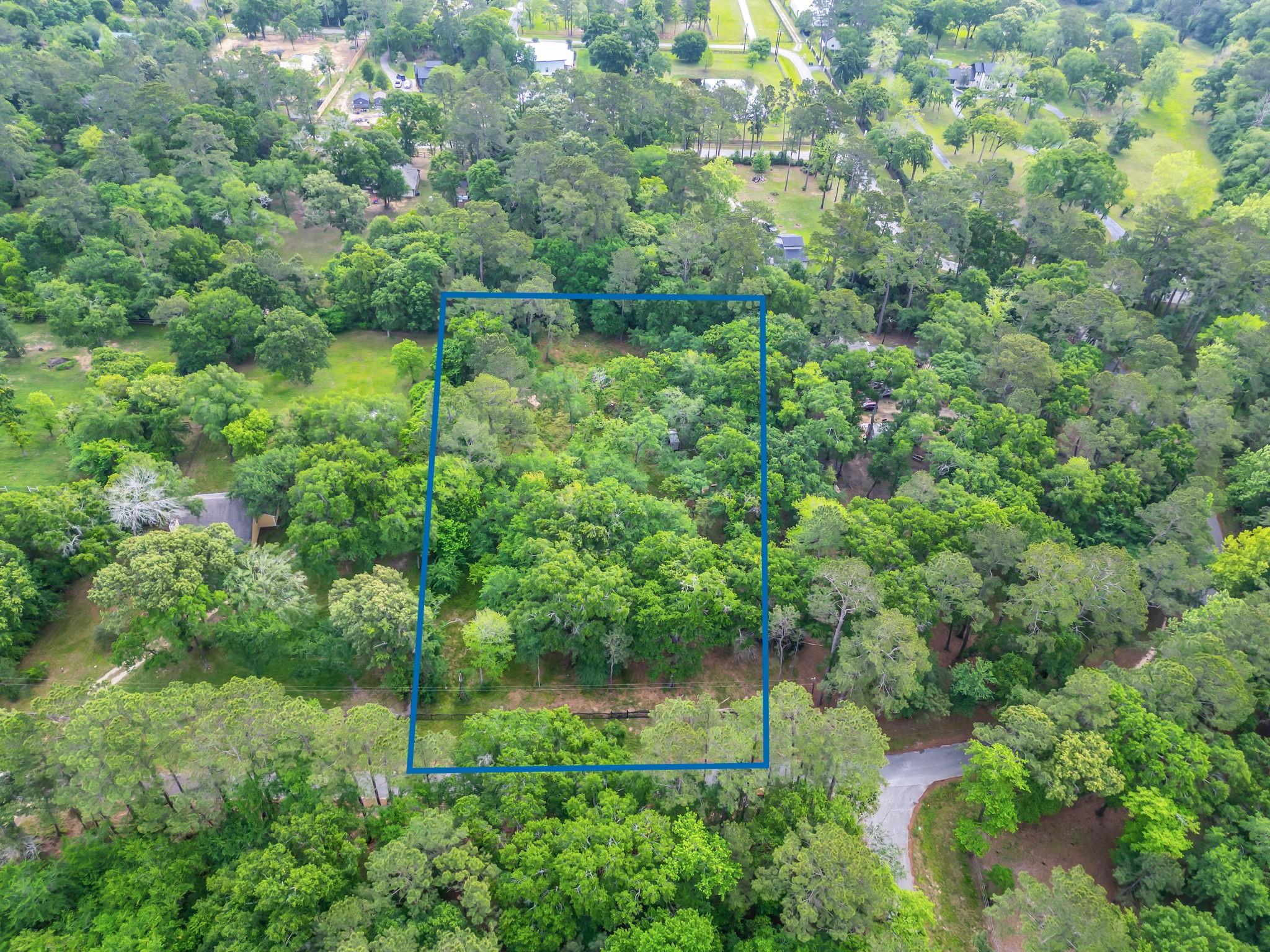 Land in Hockley 4
