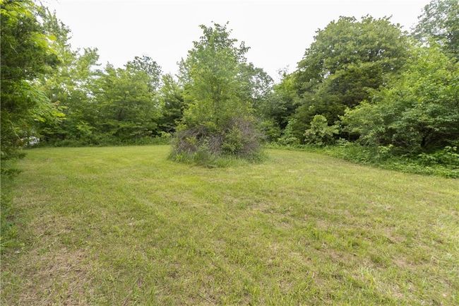 View of grassy yard | Image 24