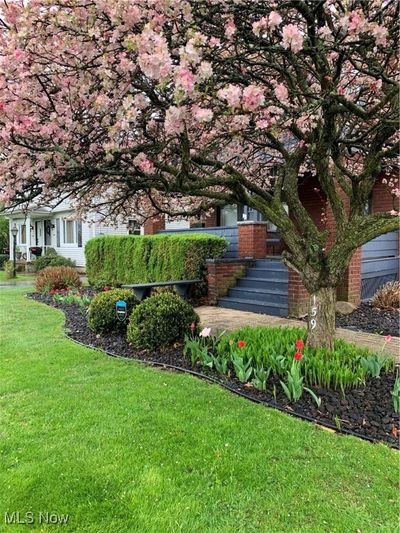 Yard view in Spring | Image 3