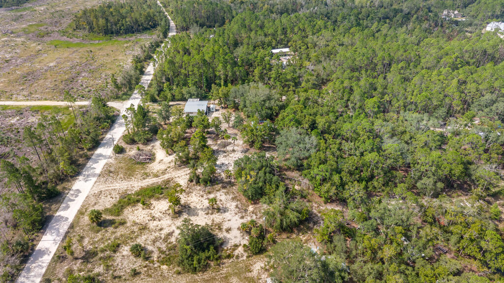 Residential in Steinhatchee 3