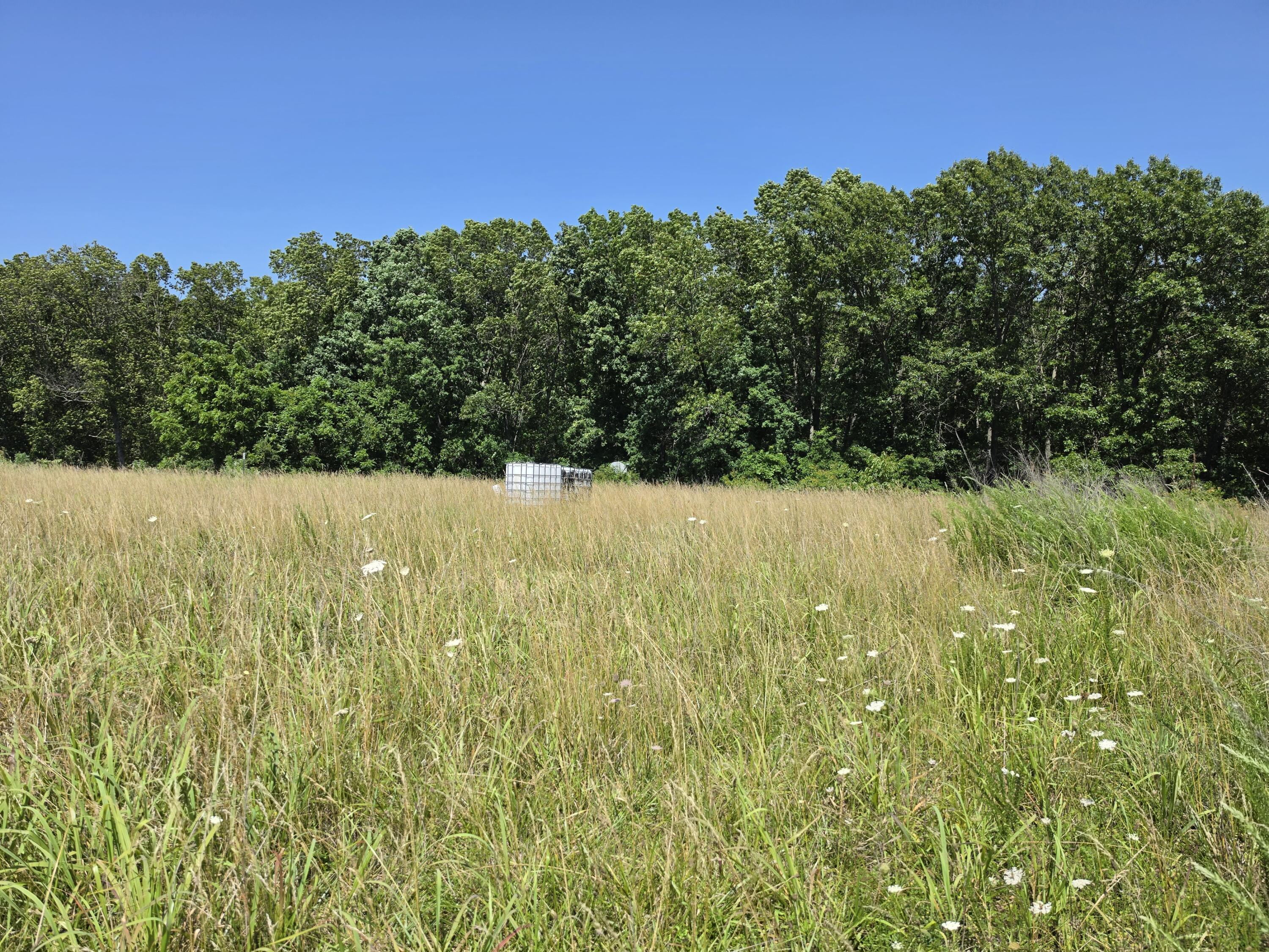Land in Fordland