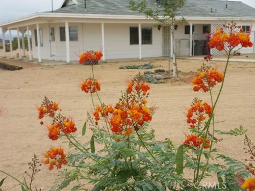 62323 Mars Dr, Joshua Tree, CA, 92252 | Card Image