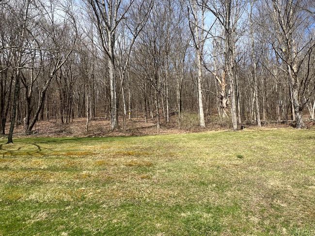 View of yard | Image 5