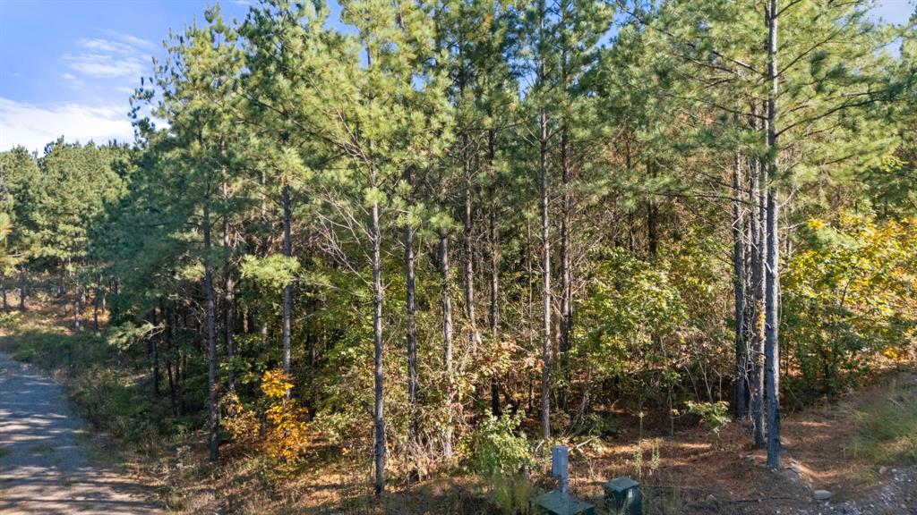 Land in Broken Bow