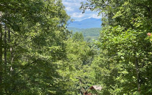 L 17A Trillium Heights Cir, Brasstown, NC, 28902 | Card Image