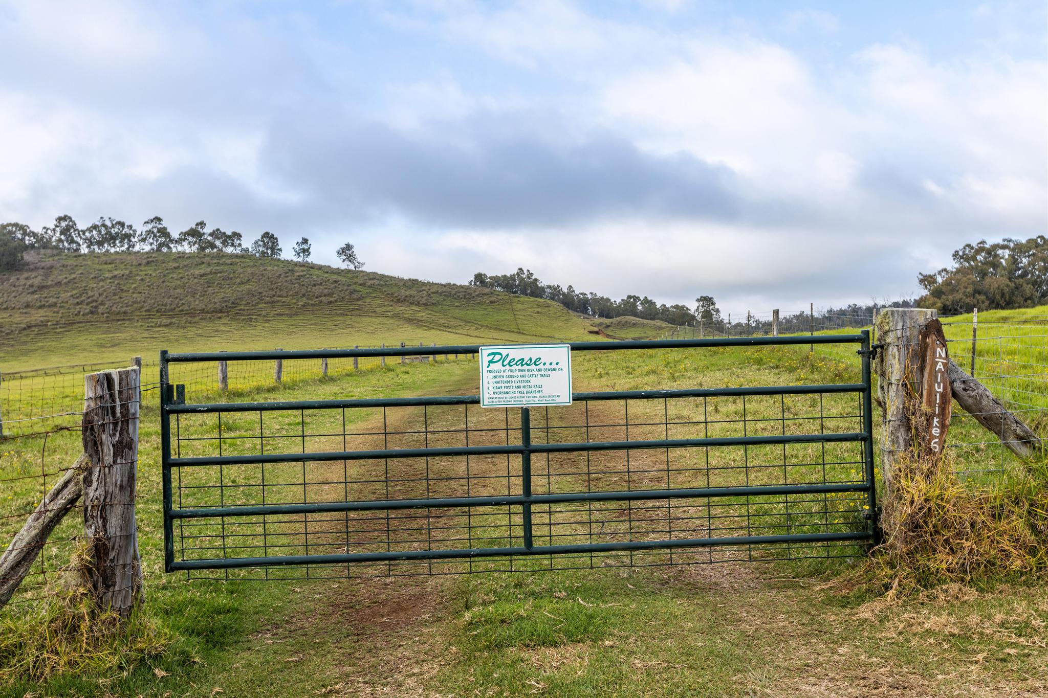 Land in Kamuela 5