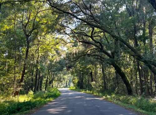 8361 Shell House Road, Edisto Island, SC, 29438 | Card Image