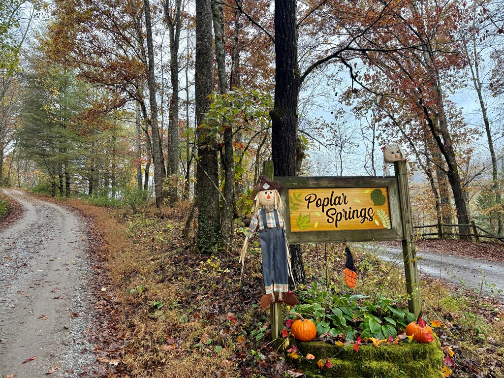 Land in Franklin 4
