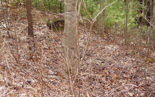 #10 Spaniard Point Rd, Hiawassee, GA, 30546 | Card Image