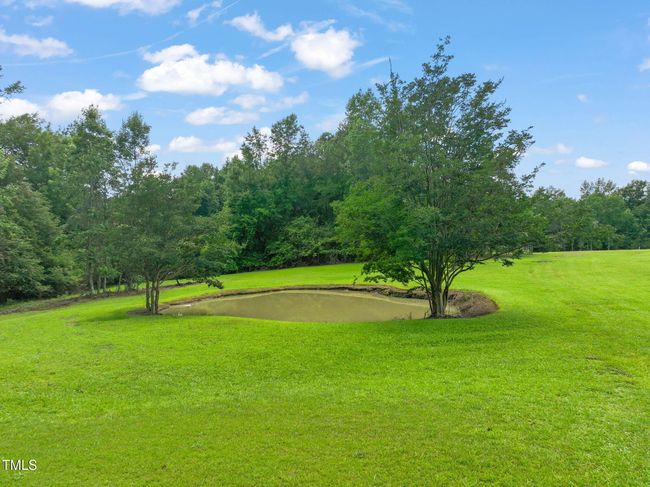 Small Pond | Image 6