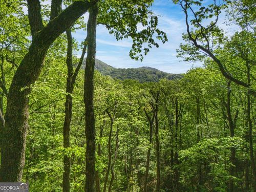 45 Amy Creek Dr, Ellijay, GA, 30540 | Card Image