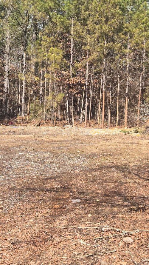 391 Joe Ford Trail, Fountain Lake, AR, 71909 | Card Image