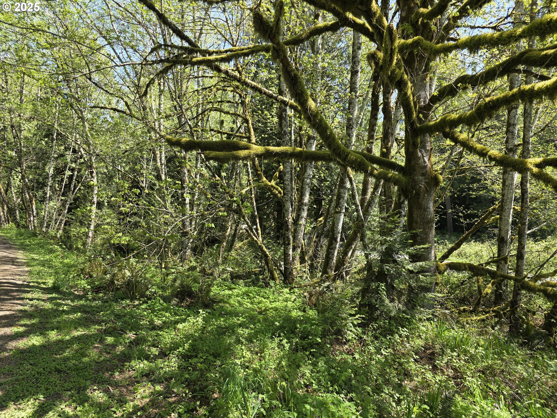 Land in Longview 2