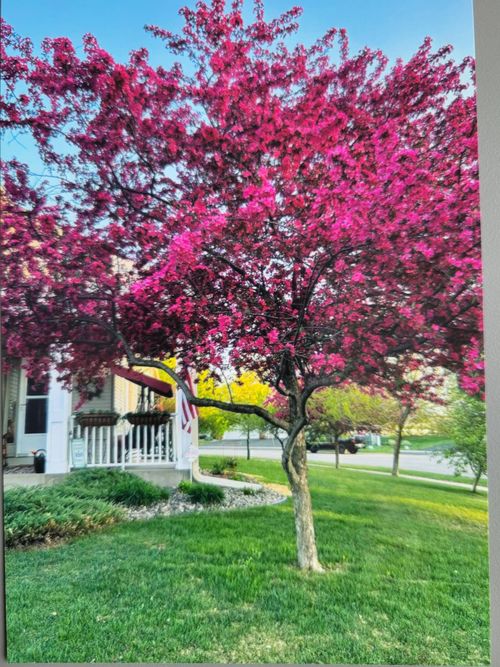 66 Meadowlark Dr, Hudson, WI, 54016-7798 | Card Image