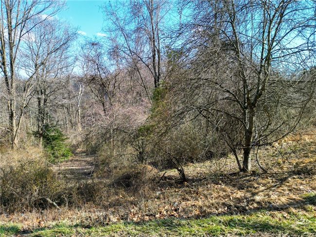 Some of the various trails on the property. | Image 20