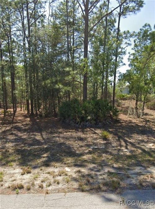 10549 N Caldera Ave, Dunnellon, FL, 34433-3448 | Card Image