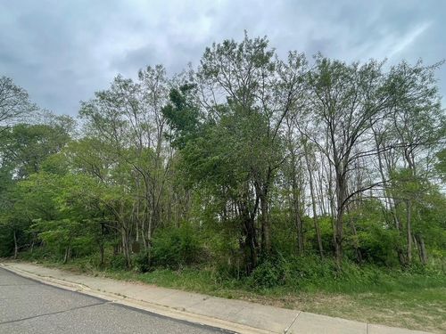 420 Tony Street, Osceola, WI, 54020 | Card Image