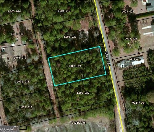 0 Hayes St, Lenox, GA, 31637 | Card Image