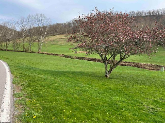 3730 Greenbrier Rd, Home with 3 bedrooms, 1 bathrooms and 3 parking in Salem WV | Image 14