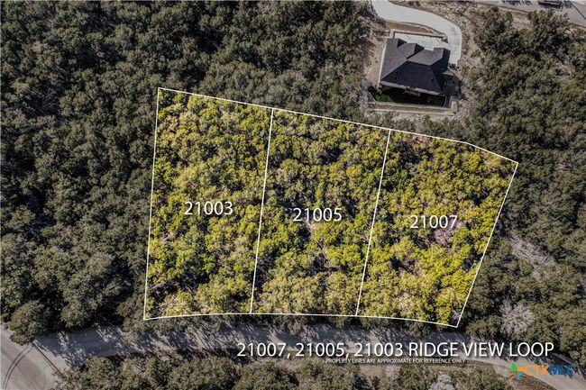 21005 Ridgeview Loop, Home with 0 bedrooms, 0 bathrooms and null parking in Lago Vista TX | Image 4