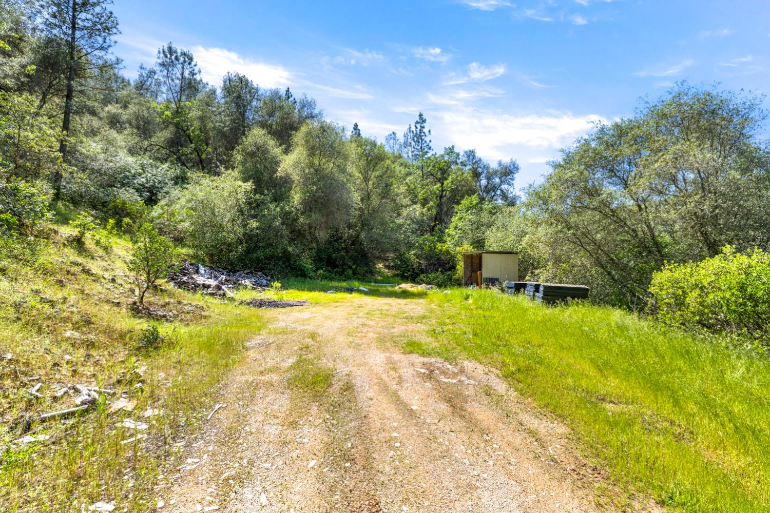 Land in Shingle Springs 2