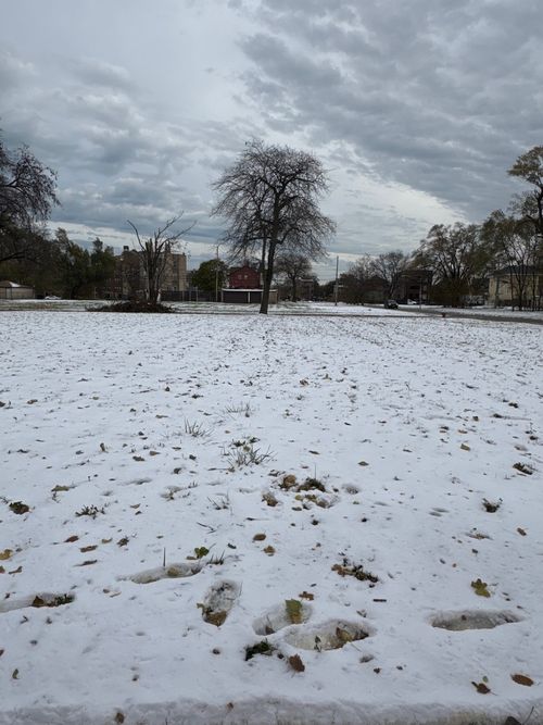 6456 S Eggleston Ave, Chicago, IL, 60621-3136 | Card Image