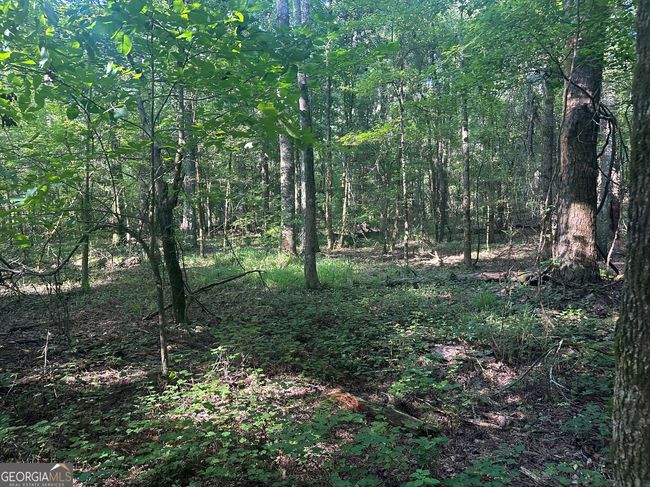 0 Highway 72 E, Home with 0 bedrooms, 0 bathrooms and null parking in Carlton GA | Image 14