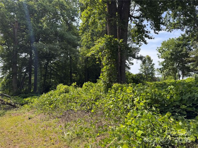 0000 Ranger Rd, Home with 0 bedrooms, 0 bathrooms and null parking in Clover SC | Image 5
