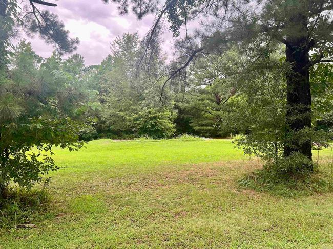 100 Mountain Side Dr, Home with 0 bedrooms, 0 bathrooms and null parking in Pangburn AR | Image 4