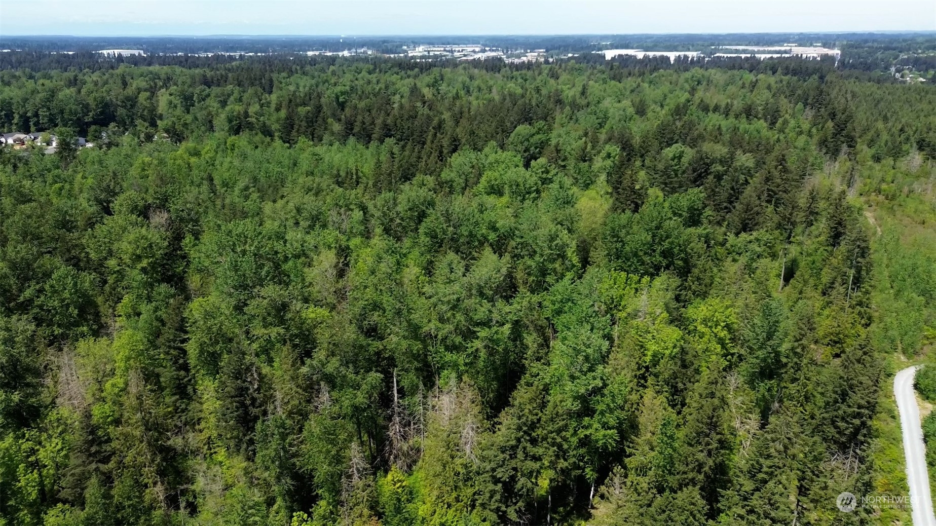 Land in Spanaway 3