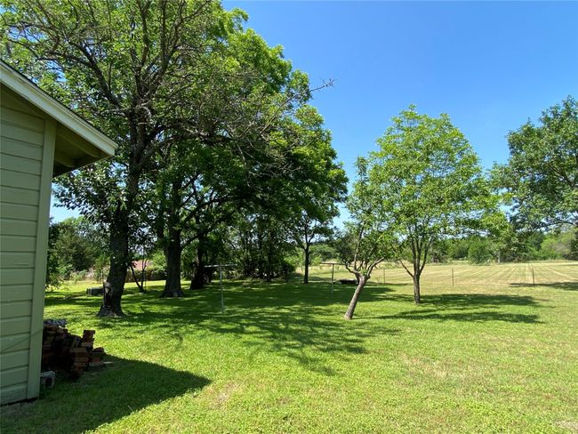 View of grassy yard | Image 4