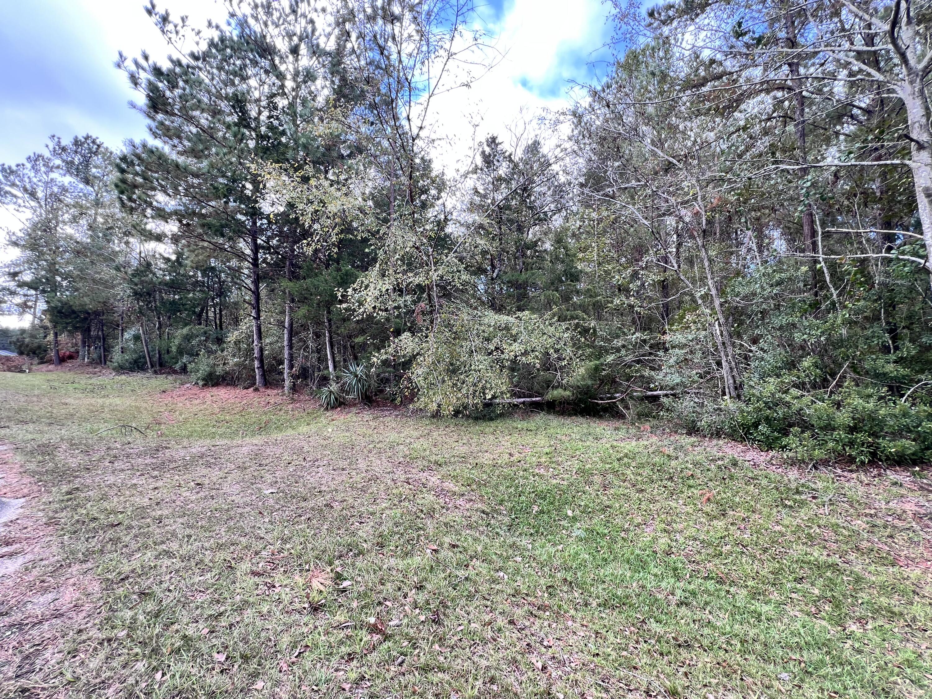 Land in Appling 2