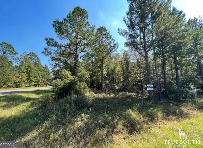 0 John S Horton Rd, Home with 0 bedrooms, 0 bathrooms and null parking in Adrian GA | Image 26