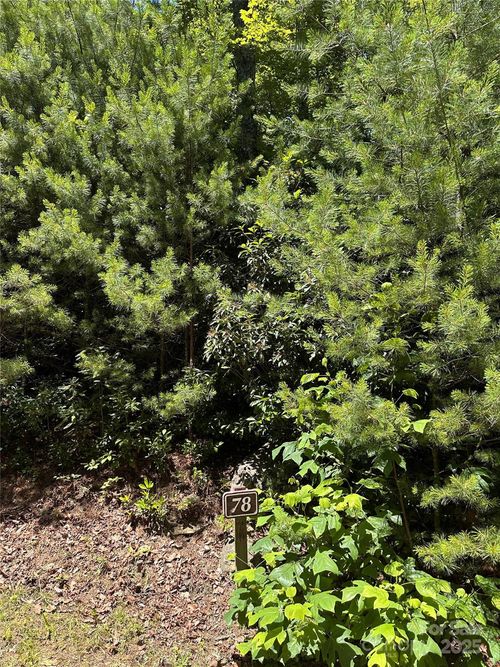 66 Boone Cove Rd, Zirconia, NC, 28790 | Card Image