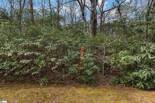 00 Conifer Falls Road, Cleveland, SC, 29635 | Card Image