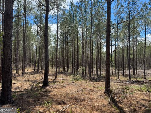 LOT 2 Lipham Rd, Franklin, GA, 30217-6158 | Card Image