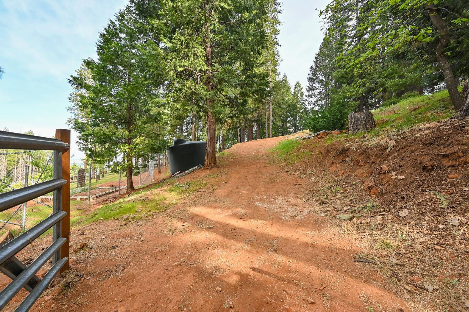Land in Grizzly Flats 5